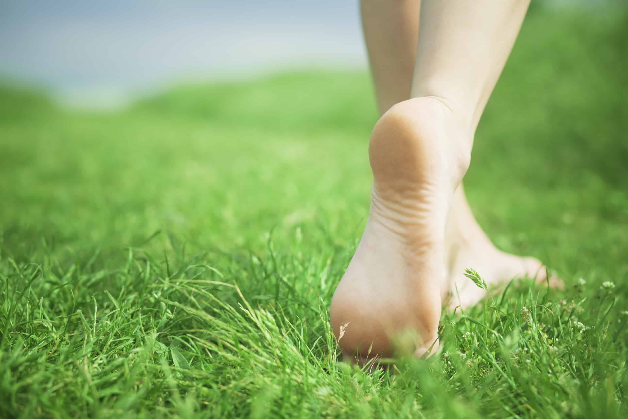 How to cure heel pain at home How to cure heel pain at home