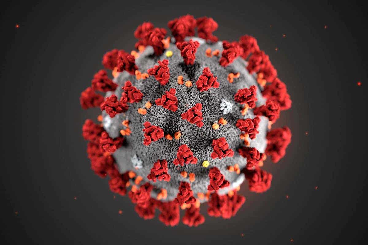 Coronavirus Update 🦠 Coronavirus Update 🦠